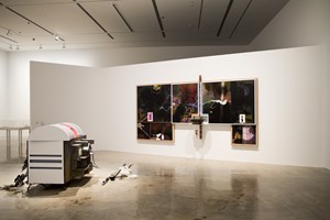 Helen Marten, 'Parrot Problems', 2014. Installation view of the 20th Biennale of Sydney (2016) at the MCA, Sydney. Courtesy the artist and Sadie Coles HQ, London. Collection of K11 Kollection, Hong Kong. Photographer: Ben Symons.